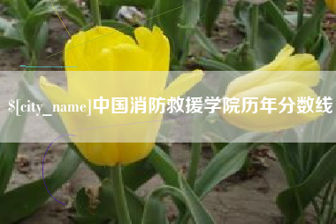 昌吉中国消防救援学院历年分数线