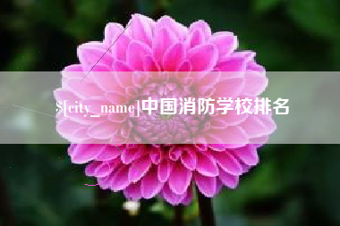 昌吉中国消防学校排名