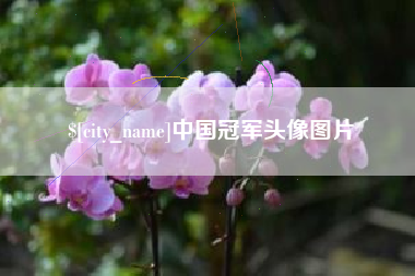 昌吉中国冠军头像图片