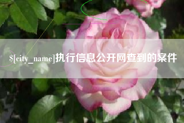 昌吉执行信息公开网查到的案件
