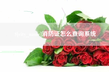 昌吉消防证怎么查询系统