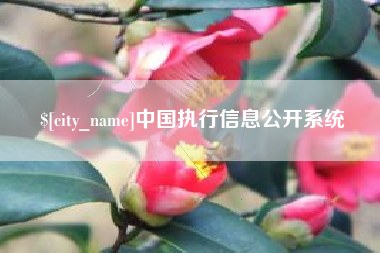 昌吉中国执行信息公开系统