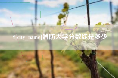 昌吉消防大学分数线是多少