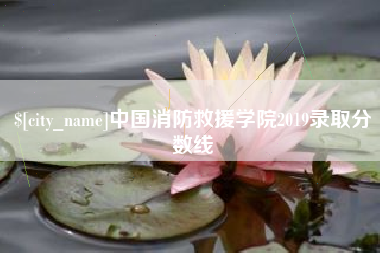 昌吉中国消防救援学院2019录取分数线
