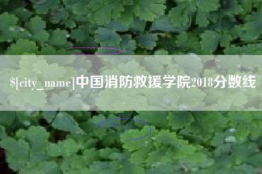 昌吉中国消防救援学院2018分数线