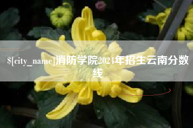 昌吉消防学院2024年招生云南分数线