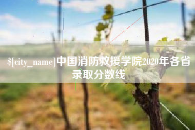 昌吉中国消防救援学院2020年各省录取分数线