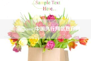 昌吉中国执行网信息官网