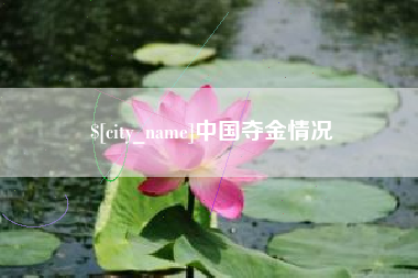 昌吉中国夺金情况