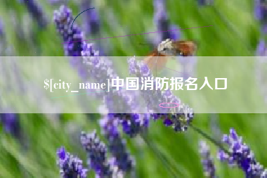 昌吉中国消防报名入口