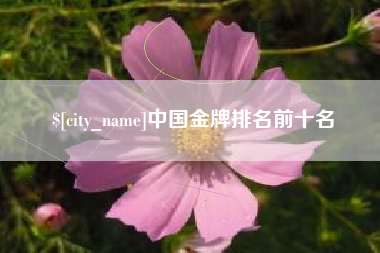 昌吉中国金牌排名前十名