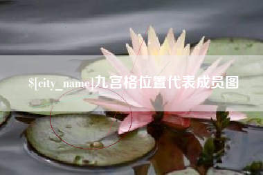 昌吉九宫格位置代表成员图
