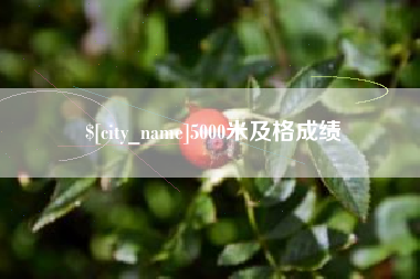 昌吉5000米及格成绩