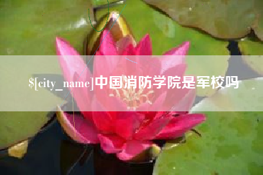 昌吉中国消防学院是军校吗