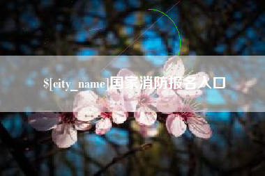 昌吉国家消防报名入口