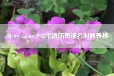 昌吉2025年消防员报名时间表格