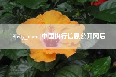昌吉中国执行信息公开网后
