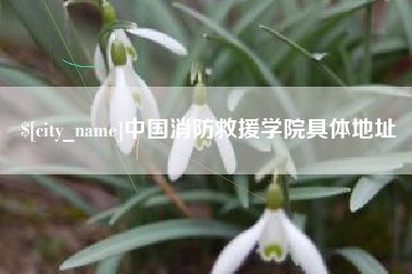 昌吉中国消防救援学院具体地址