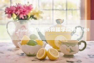 昌吉中国消防救援学院分数2020