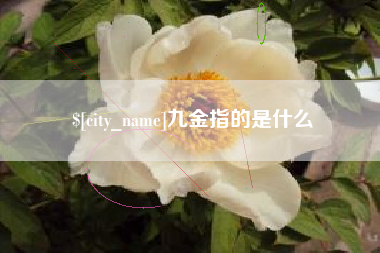 昌吉九金指的是什么