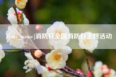 昌吉消防日全国消防日主题活动