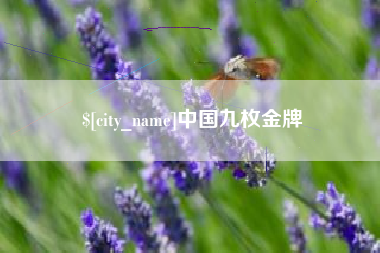 昌吉中国九枚金牌