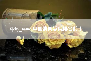 昌吉中国消防学院排名前十