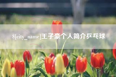 昌吉王子豪个人简介乒乓球