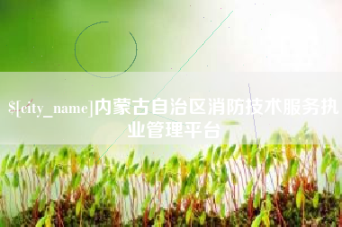 昌吉内蒙古自治区消防技术服务执业管理平台