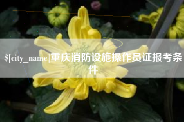昌吉重庆消防设施操作员证报考条件