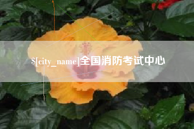 昌吉全国消防考试中心