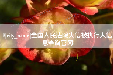 昌吉全国人民法院失信被执行人信息查询官网