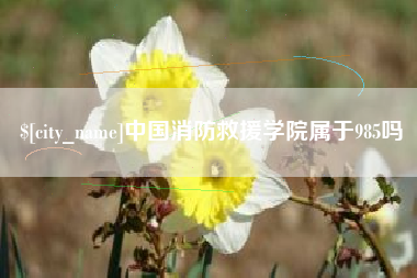 昌吉中国消防救援学院属于985吗