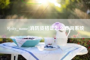 昌吉消防资格证怎么查询系统