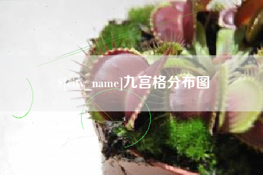 昌吉九宫格分布图