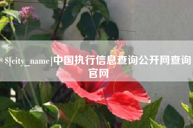 昌吉中国执行信息查询公开网查询官网
