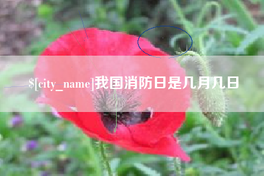 昌吉我国消防日是几月几日