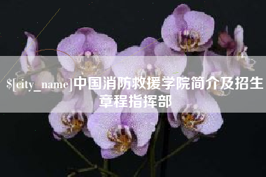 昌吉中国消防救援学院简介及招生章程指挥部
