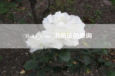 昌吉消防证的查询