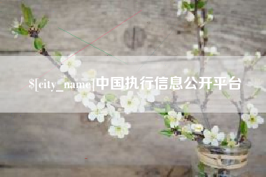 昌吉中国执行信息公开平台