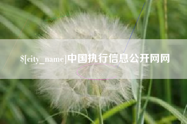 昌吉中国执行信息公开网网