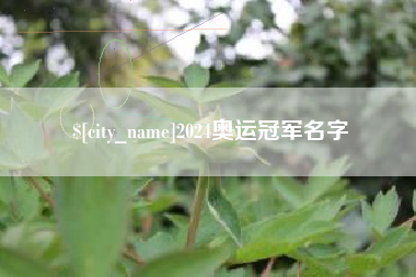 昌吉2024奥运冠军名字