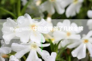 昌吉中国金牌得了几枚金牌