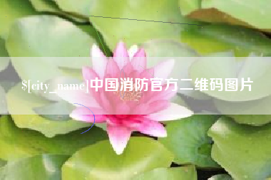 昌吉中国消防官方二维码图片