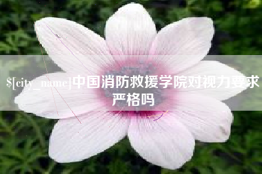 昌吉中国消防救援学院对视力要求严格吗