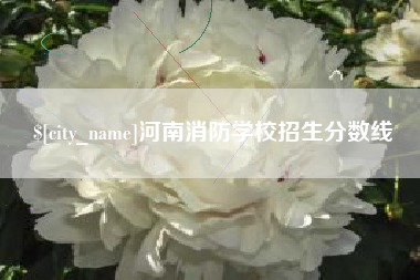 昌吉河南消防学校招生分数线