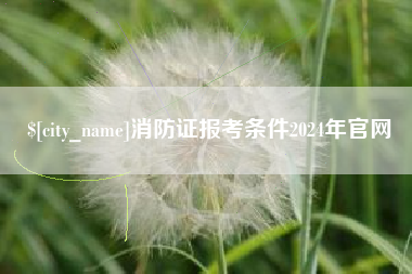 昌吉消防证报考条件2024年官网