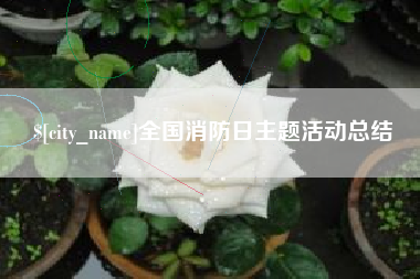 昌吉全国消防日主题活动总结