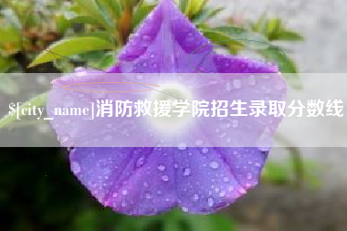 昌吉消防救援学院招生录取分数线