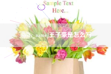昌吉王子豪是怎么写